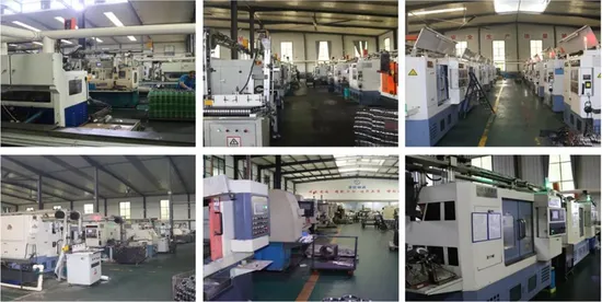 China Factory Nav4002 Nav4005 Nav4004 HK1210 HK1212 HK1312 Needle Roller Bearing for Industrial Gearboxes